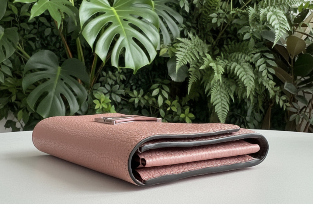 Louis Vuitton Cappucines Wallet