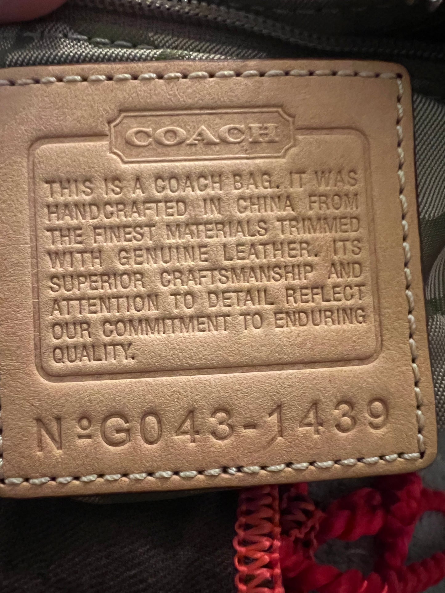 Coach Y2K Pink Wave Demi Bag