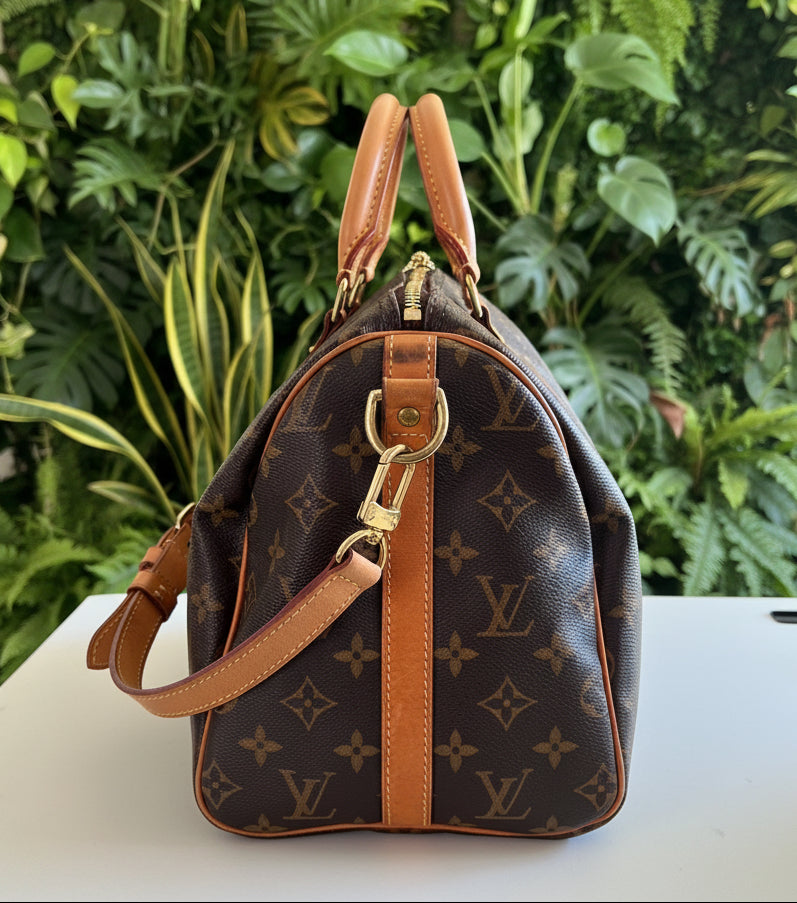 Louis Vuitton Patches Speedy Bando 30