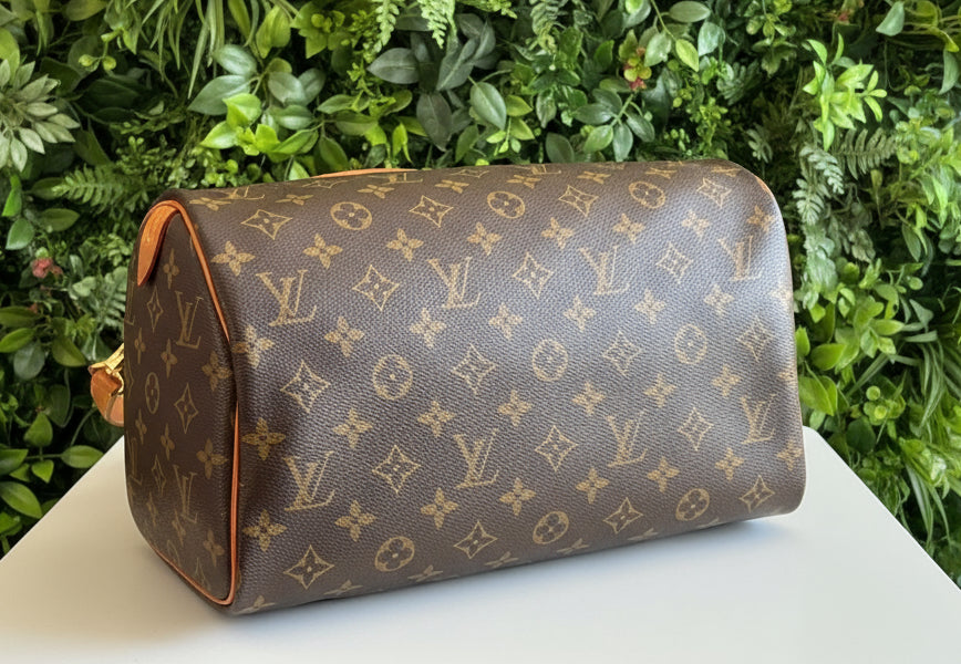 Louis Vuitton Patches Speedy Bando 30