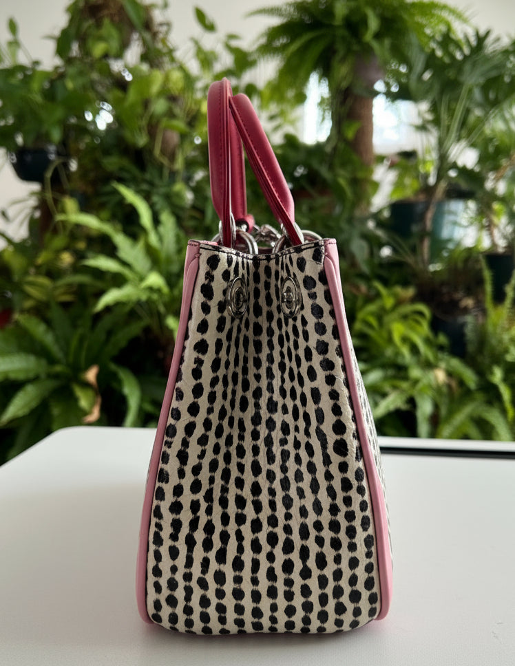 Dior Python Trimmed Diorissima Small Tote