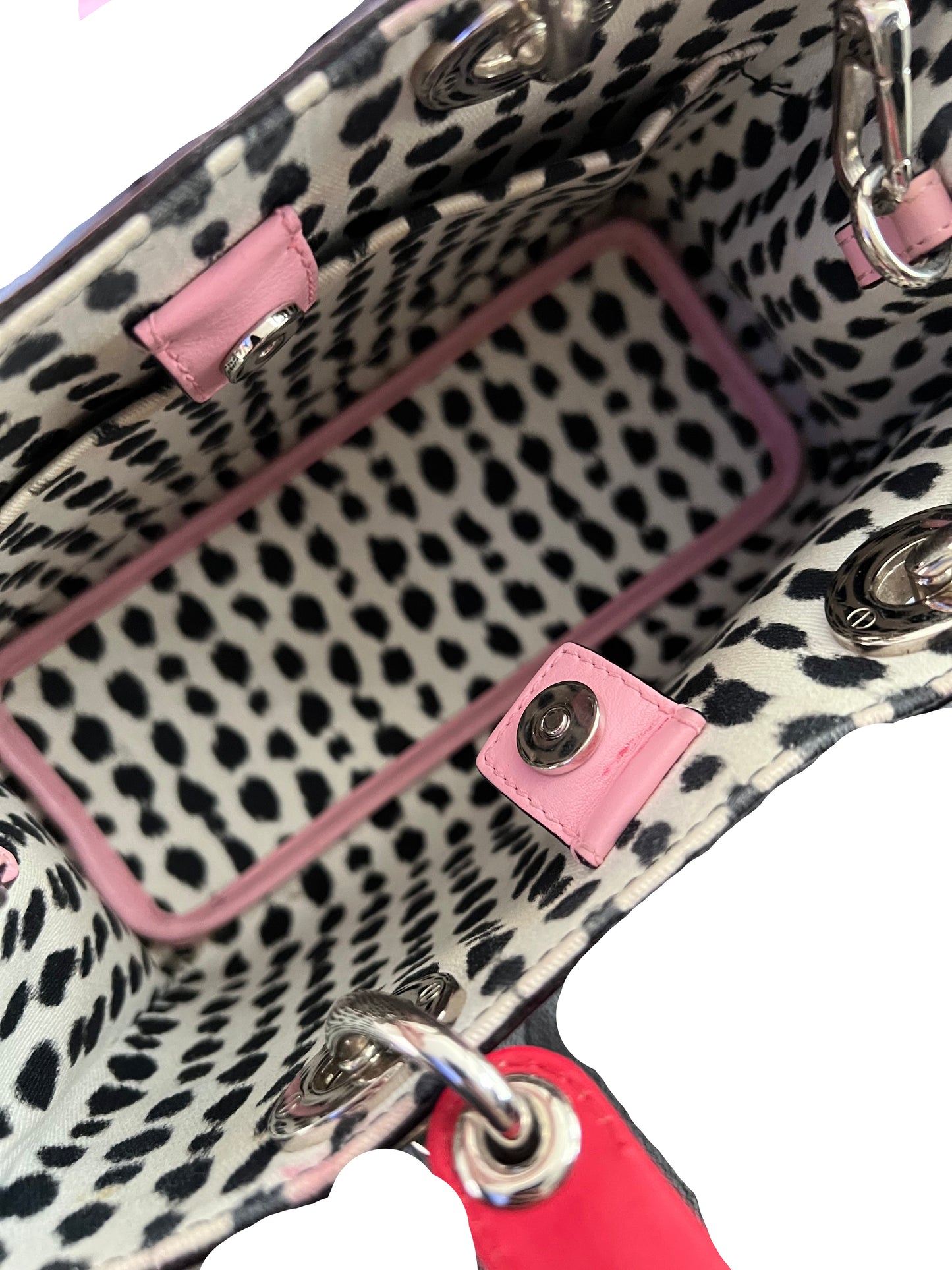 Dior Python Trimmed Diorissima Small Tote