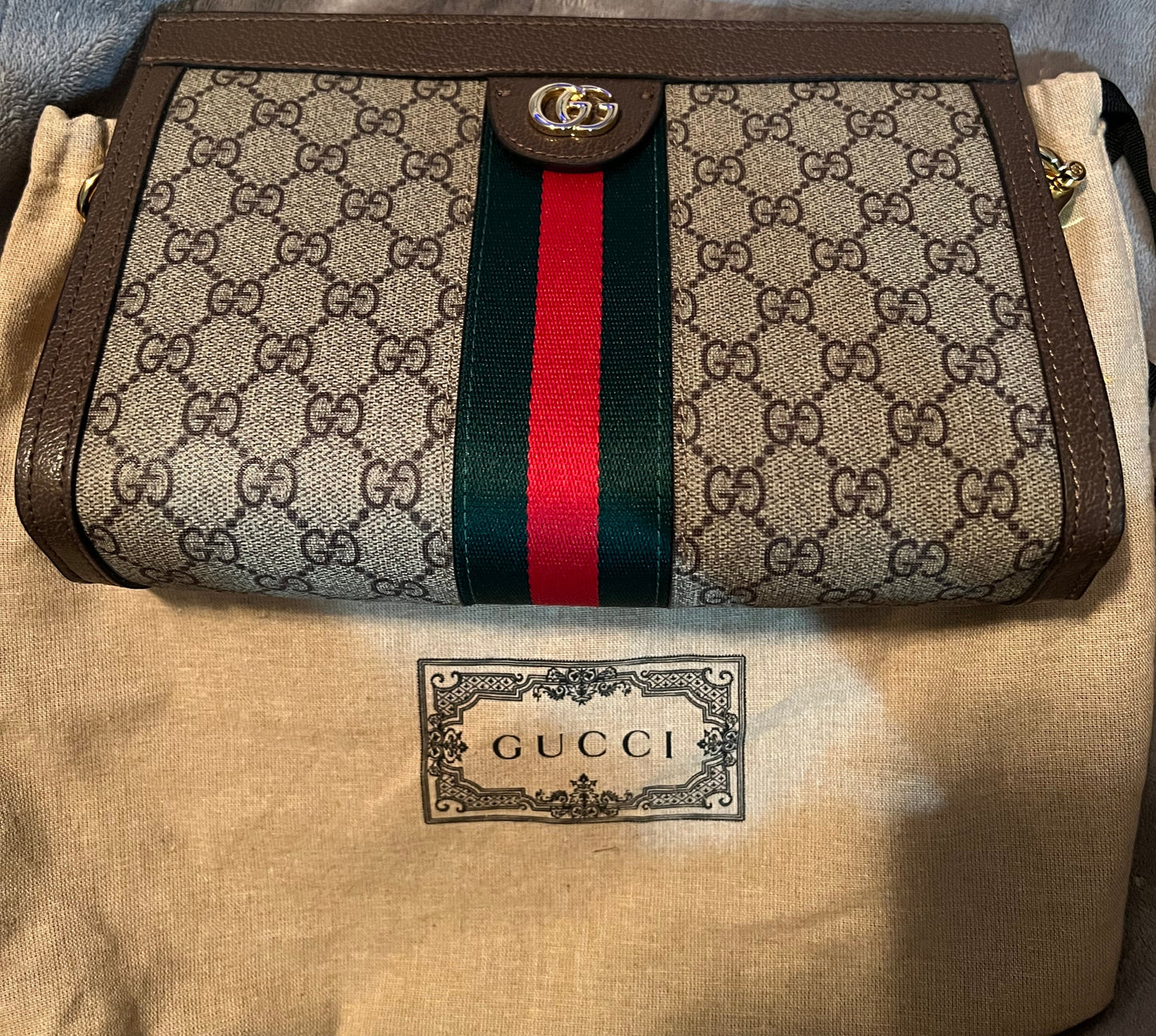 PREVIEW - DROP NEXT TIKTOK LIVE - Gucci Ophedia Clutch