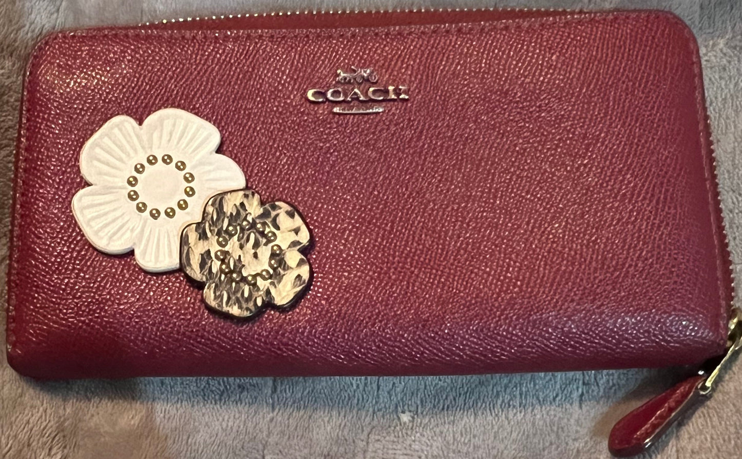 PREVIEW - DROP NEXT TIKTOK LIVE - Coach Rogue with Wallet