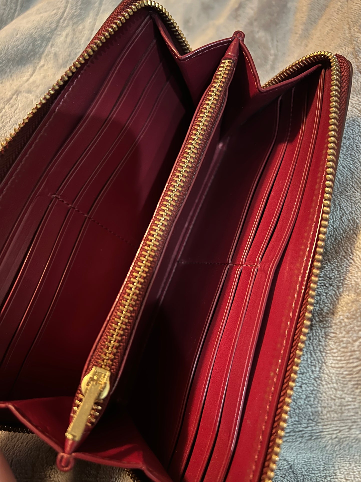 PREVIEW - DROP NEXT TIKTOK LIVE - Coach Rogue with Wallet
