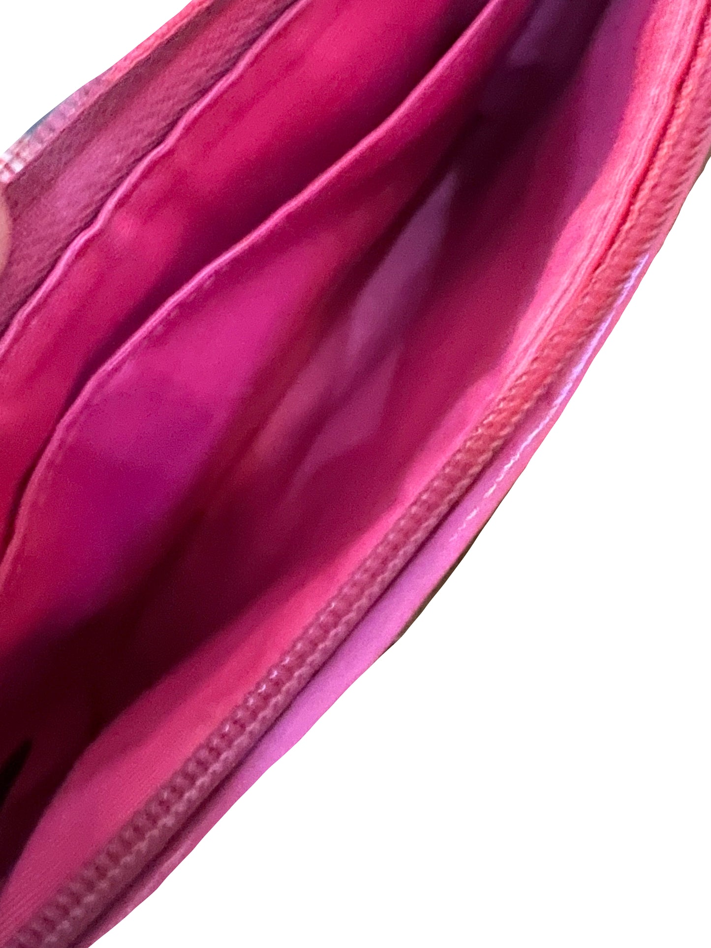 Coach Limited Edition Poppy Chan Pinky Wristlet