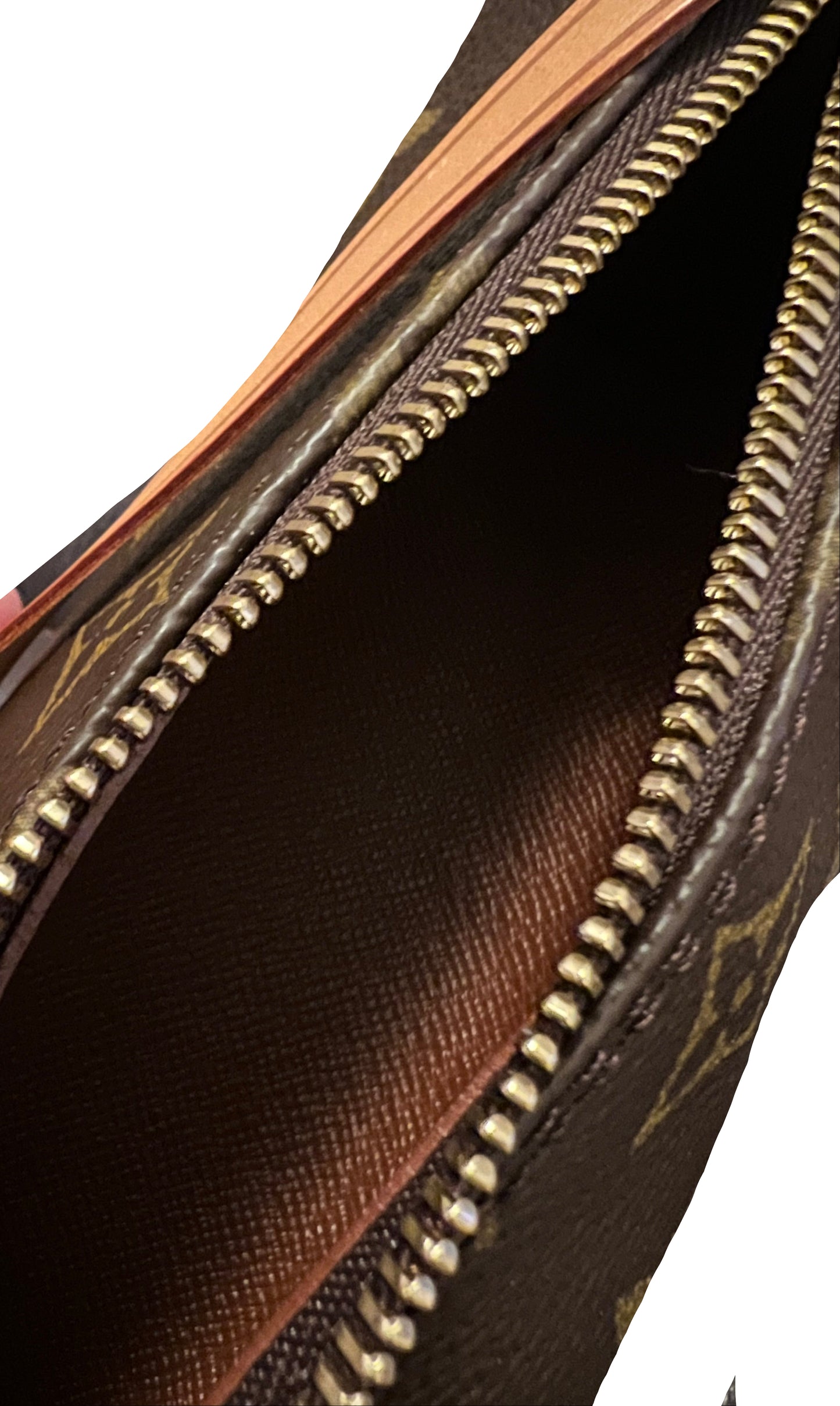 Louis Vuitton Mini Monogram Papillion