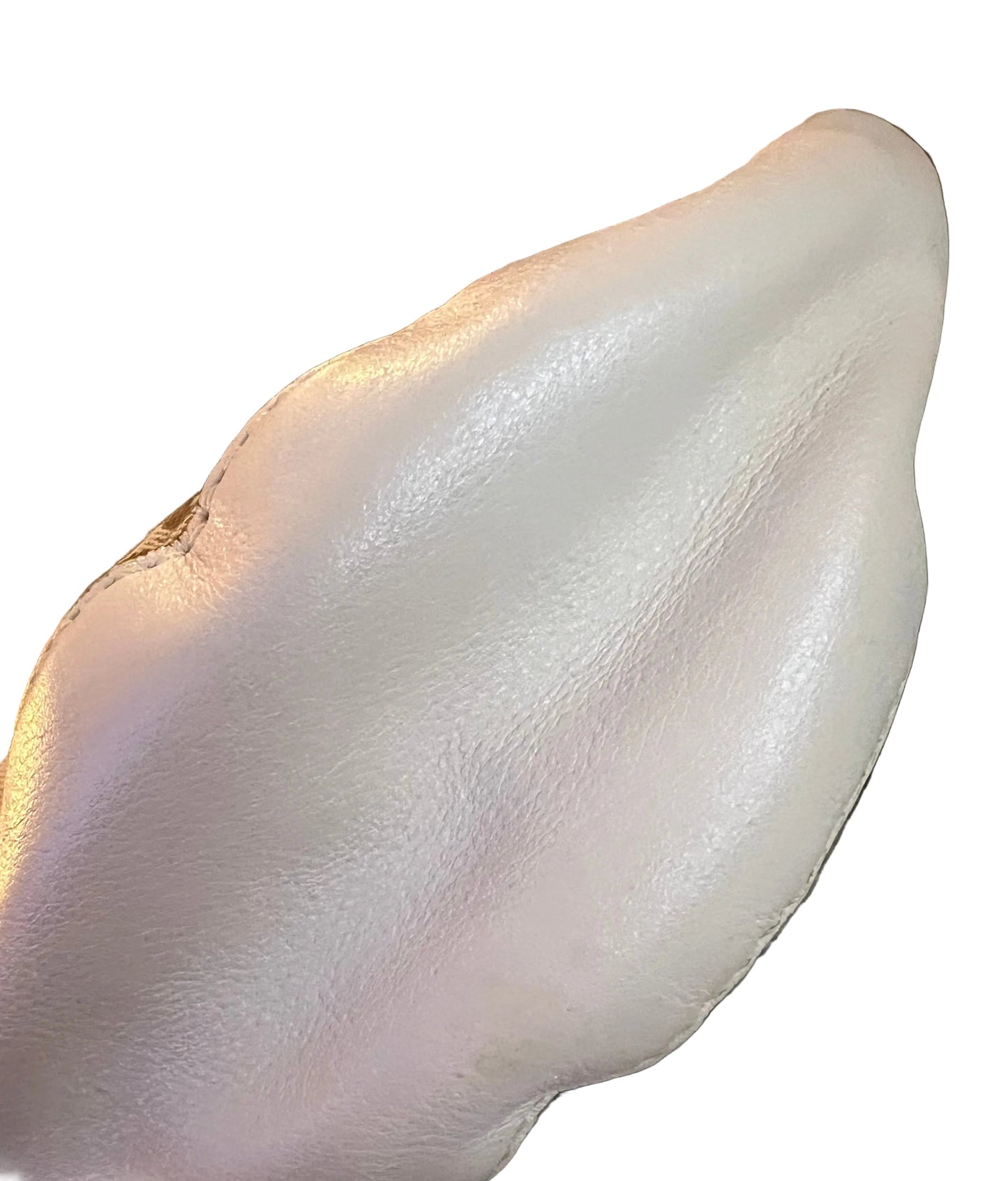 Coach 70th Anniversary Willis Bag