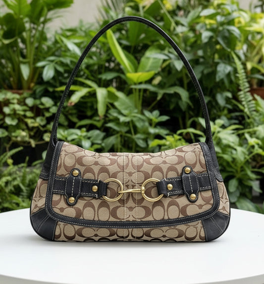 PREVIEW - DROP NEXT TIKTOK LIVE - Coach Y2K Signature Canvas Baguette Shoulder Bag
