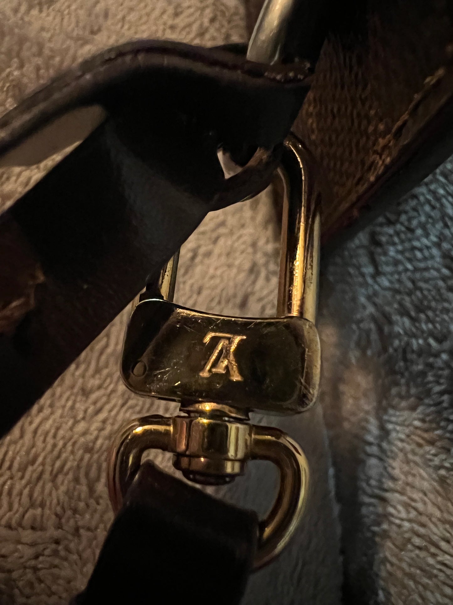 Louis Vuitton Damien Ebene Neverfull Pouch