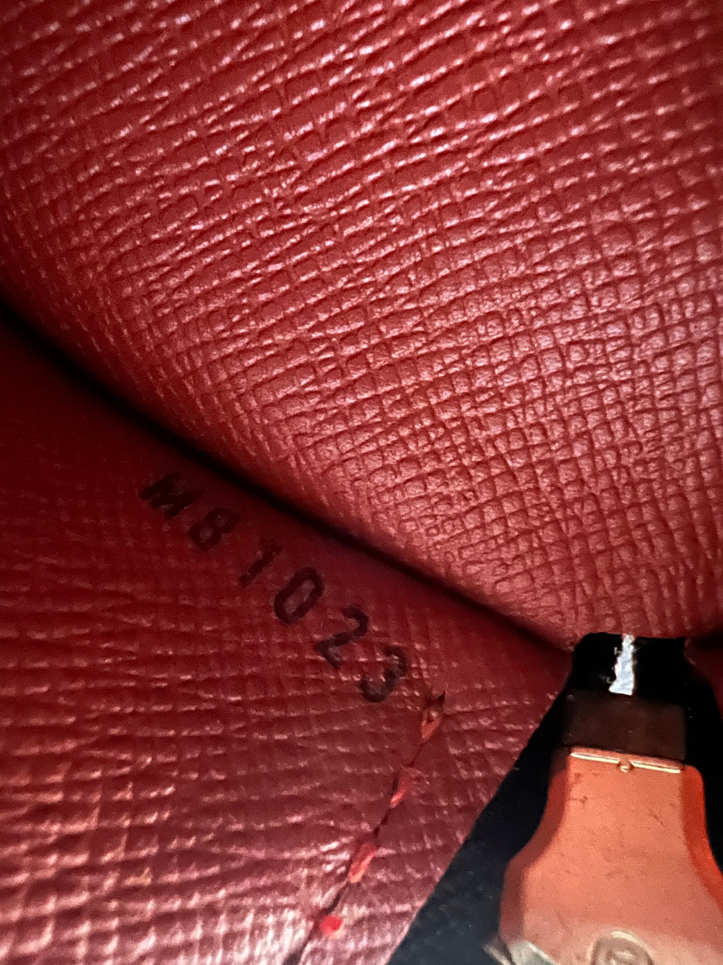 Louis Vuitton Damier Ebene Papillion 30