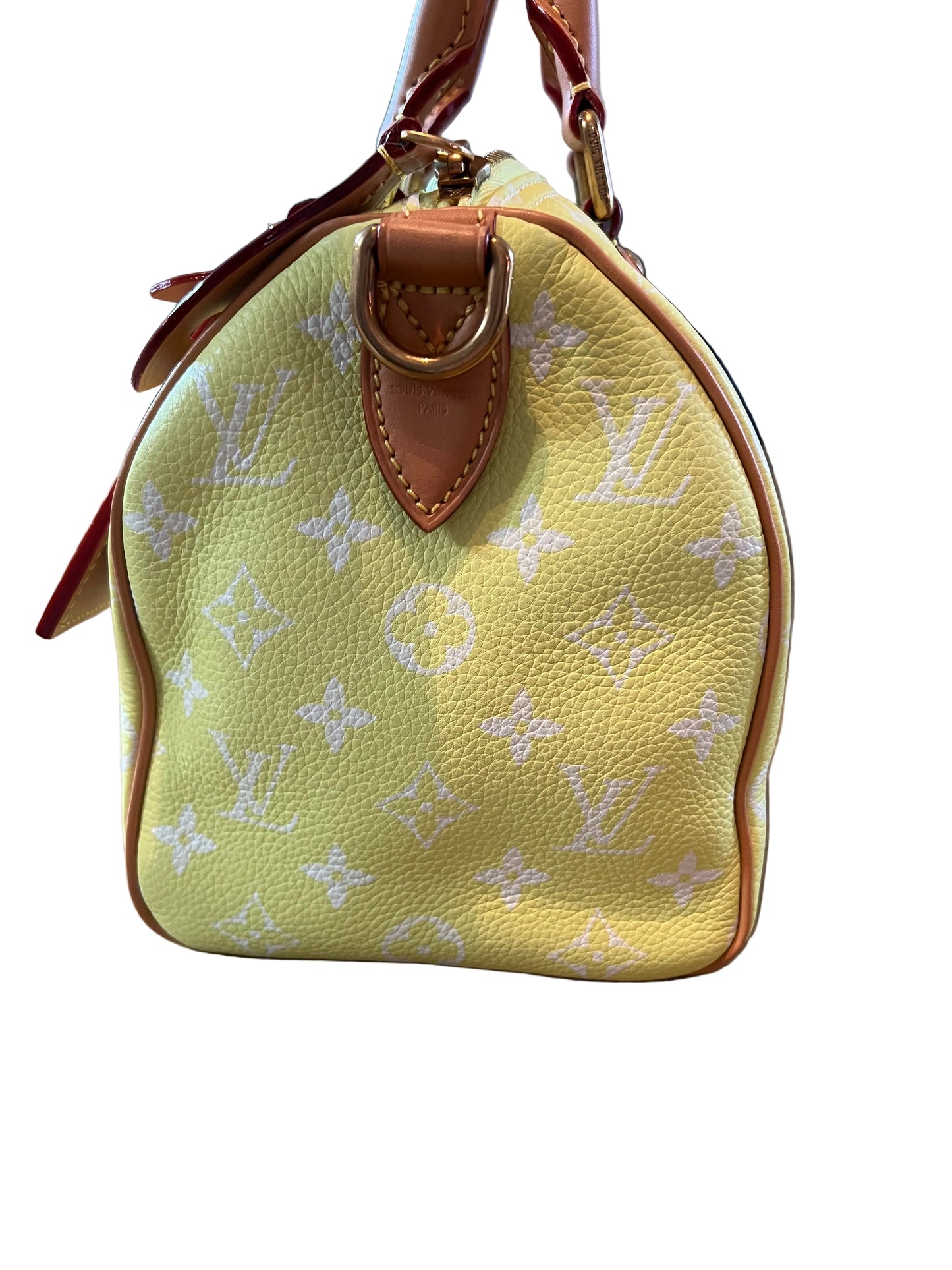 Louis Vuitton P9 Speedy 25 Lemonade