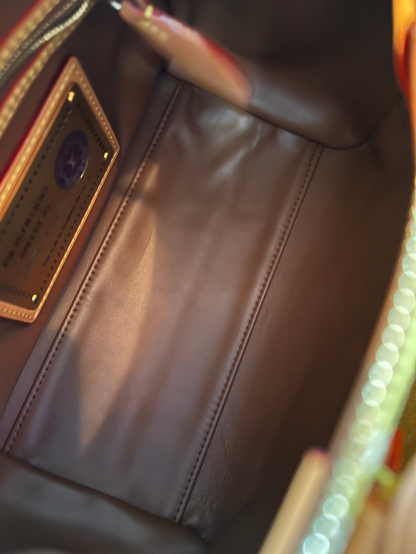 Louis Vuitton P9 Speedy 25 Lemonade