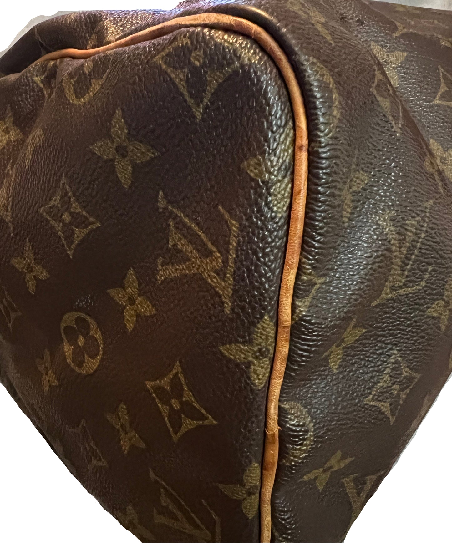 Louis Vuitton Monogram Speedy 30