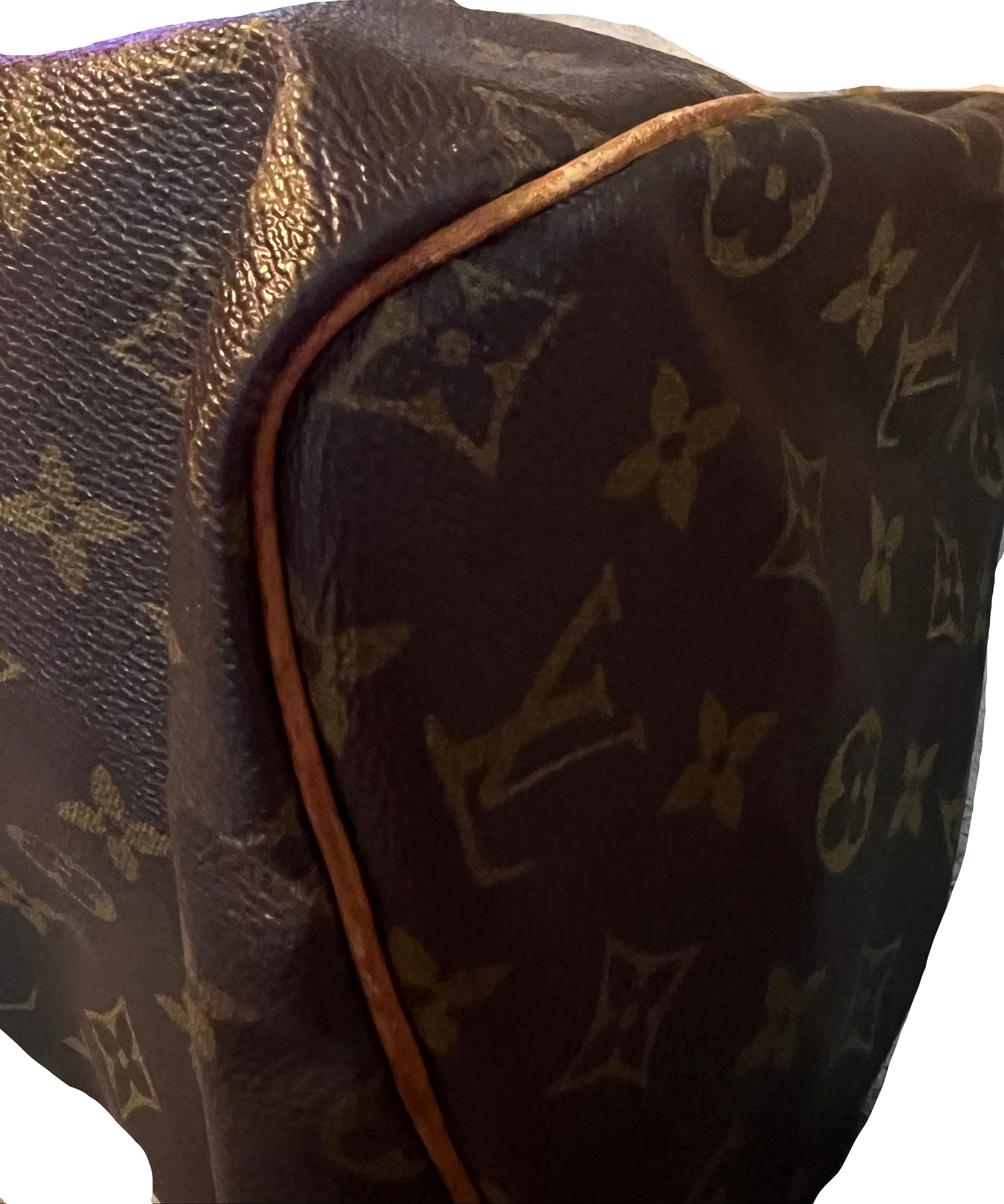 Louis Vuitton Monogram Speedy 30