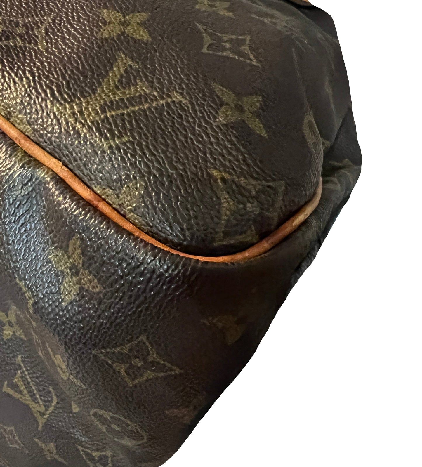 Louis Vuitton Monogram Speedy 30