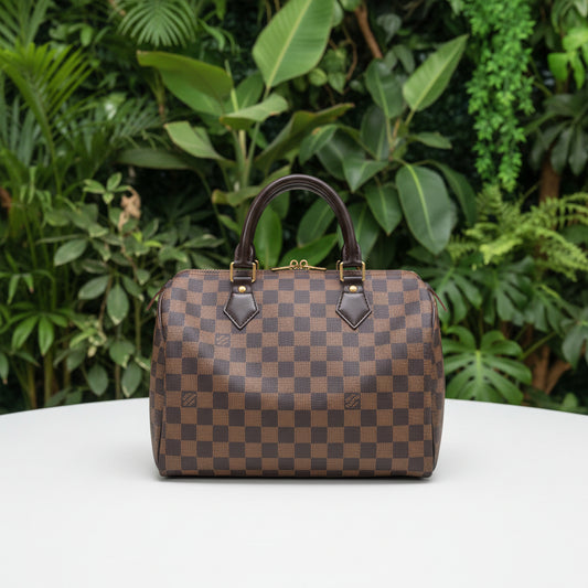 Louis Vuitton Damier Ebene Speedy 30