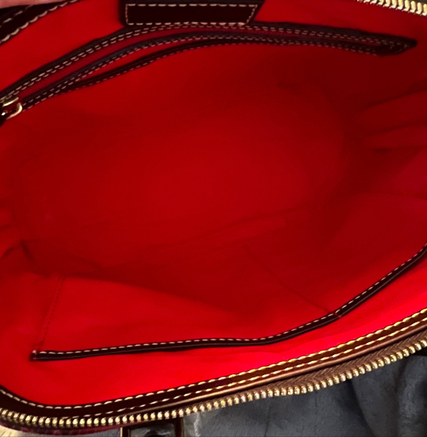 Dooney & Bourke Lizard Burgundy Satchel