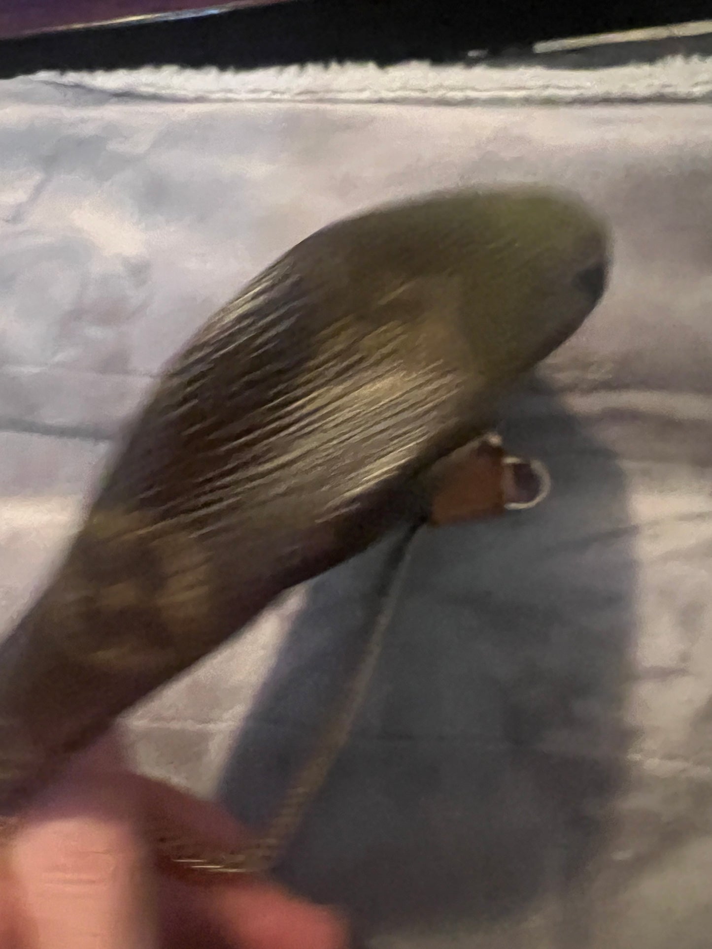 Louis Vuitton Monogram Mini Pochette