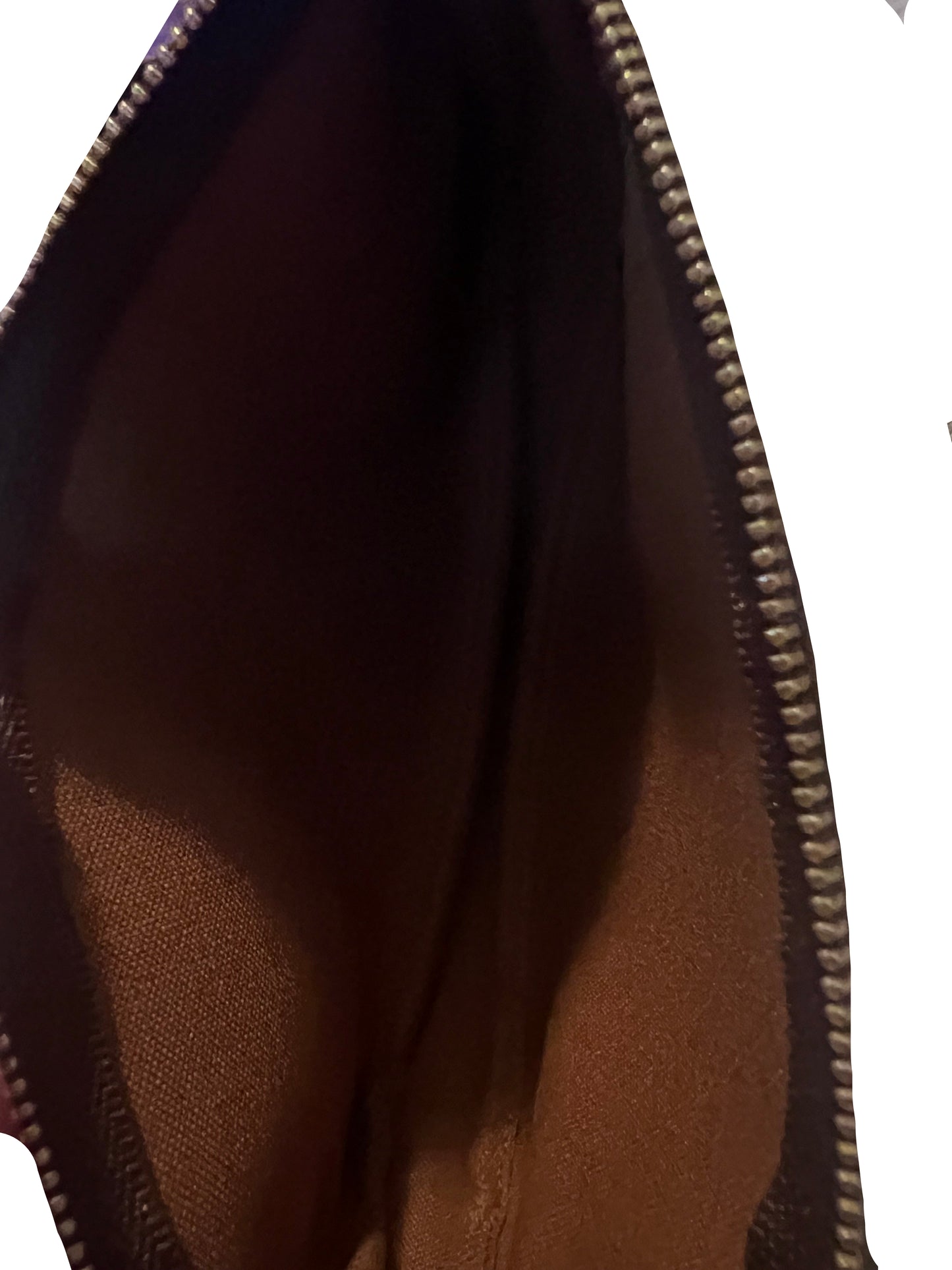 Louis Vuitton Monogram Mini Pochette