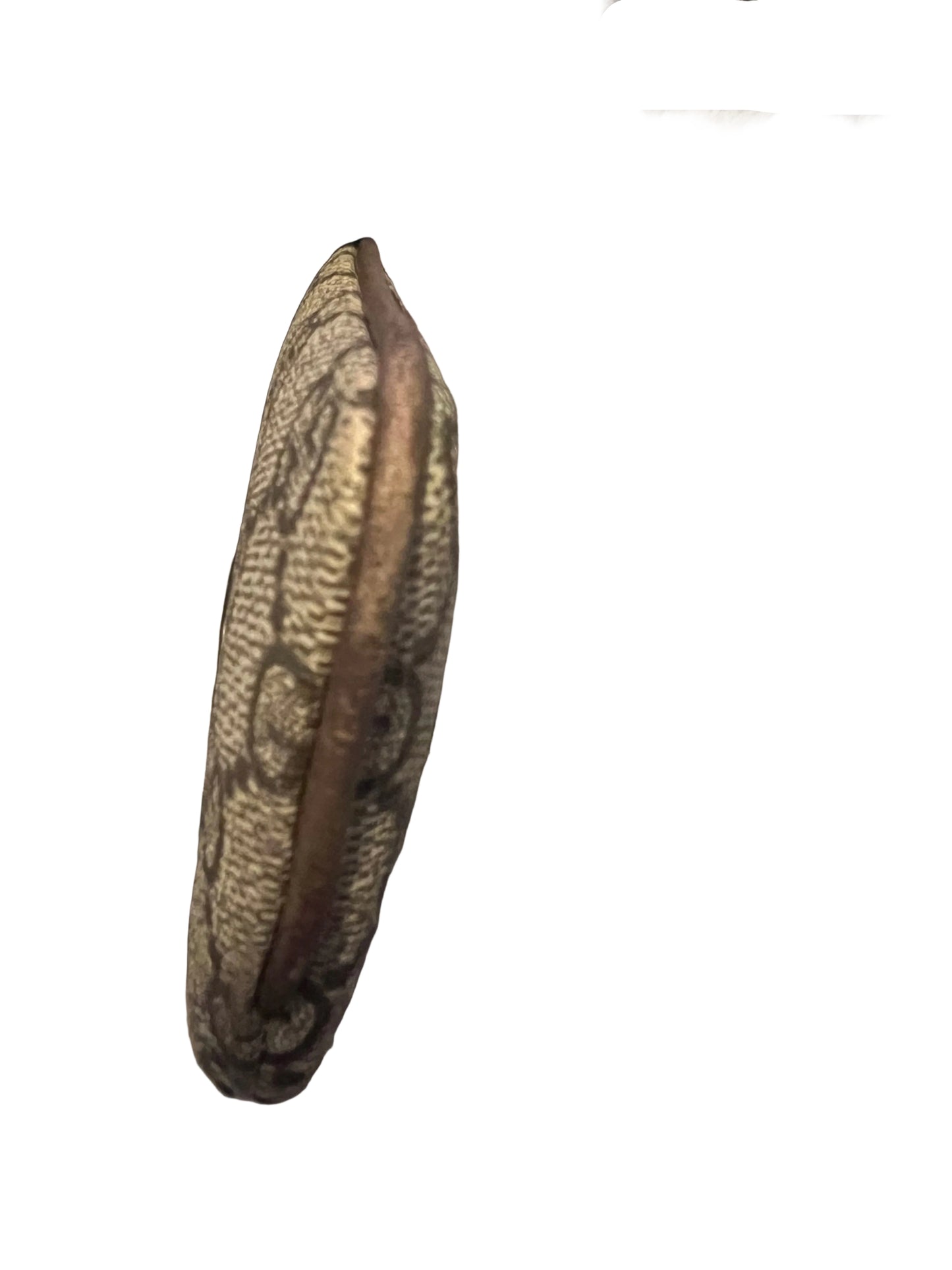 Gucci Signature Coated Canvas Key Cles