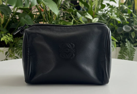 Loewe Leather Zip Toiletry Pouch