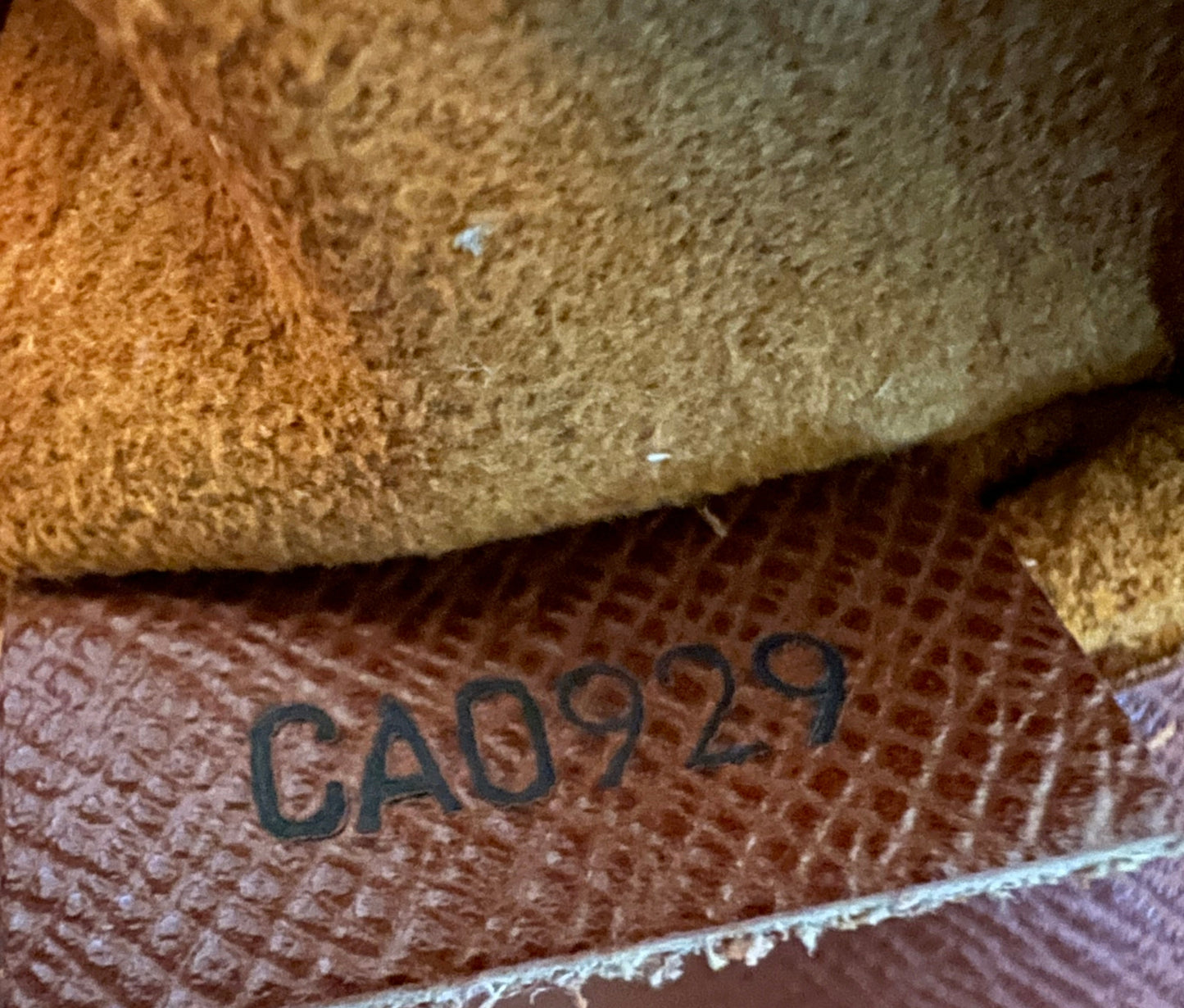 Louis Vuitton Monogram Salsa- Short Strap