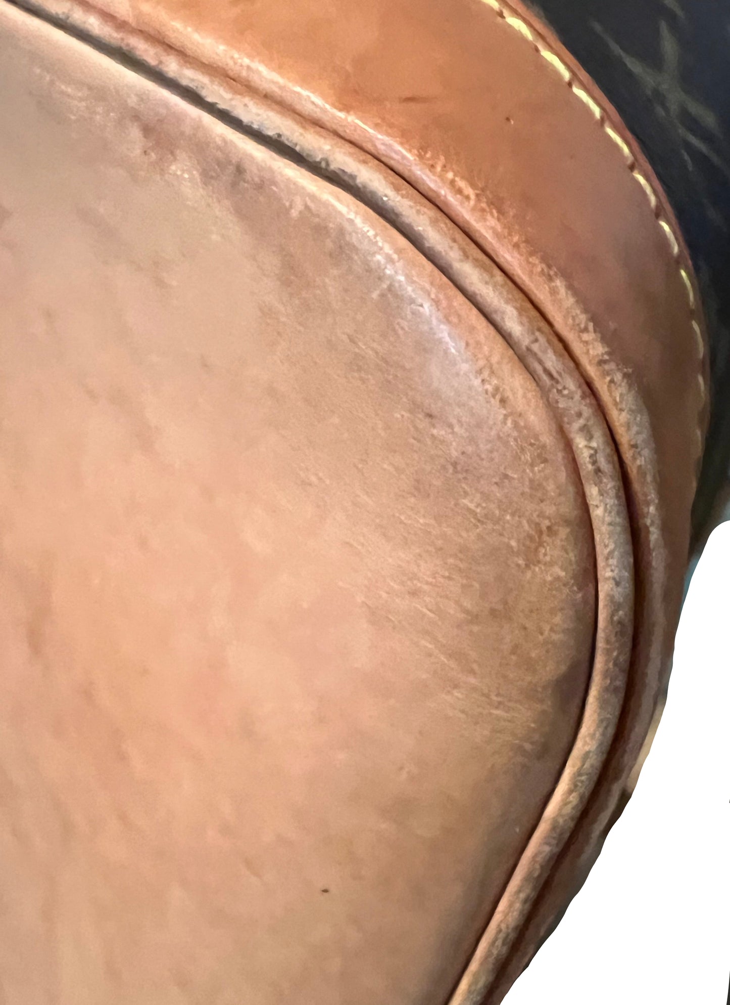 Louis Vuitton Monogram Alma PM