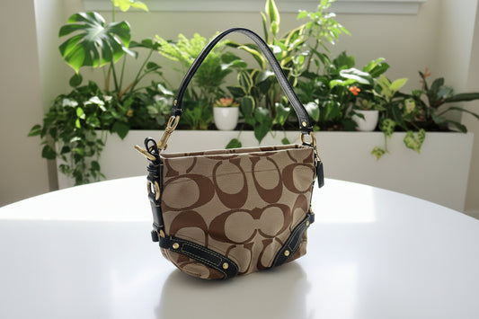 Coach Y2K Mini Signature Carly