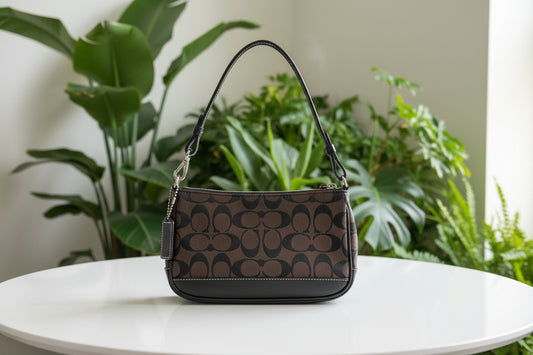 Coach Y2K Signature Brown/Black Demi Bag