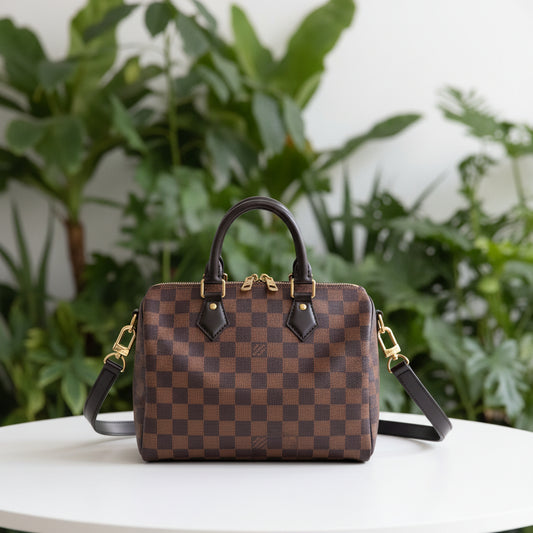 Louis Vuitton Damier Ebene Speedy 25 Bandouliere