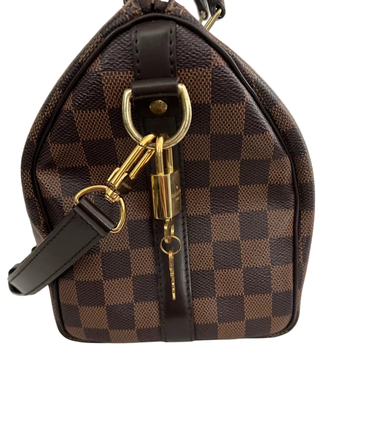 Louis Vuitton Damier Ebene Speedy 25 Bandouliere
