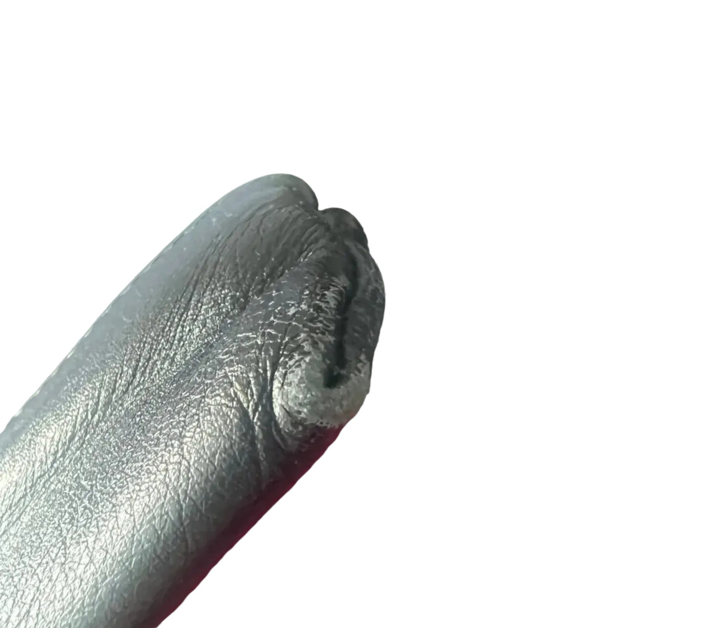 Balenciaga Canvas Pouch