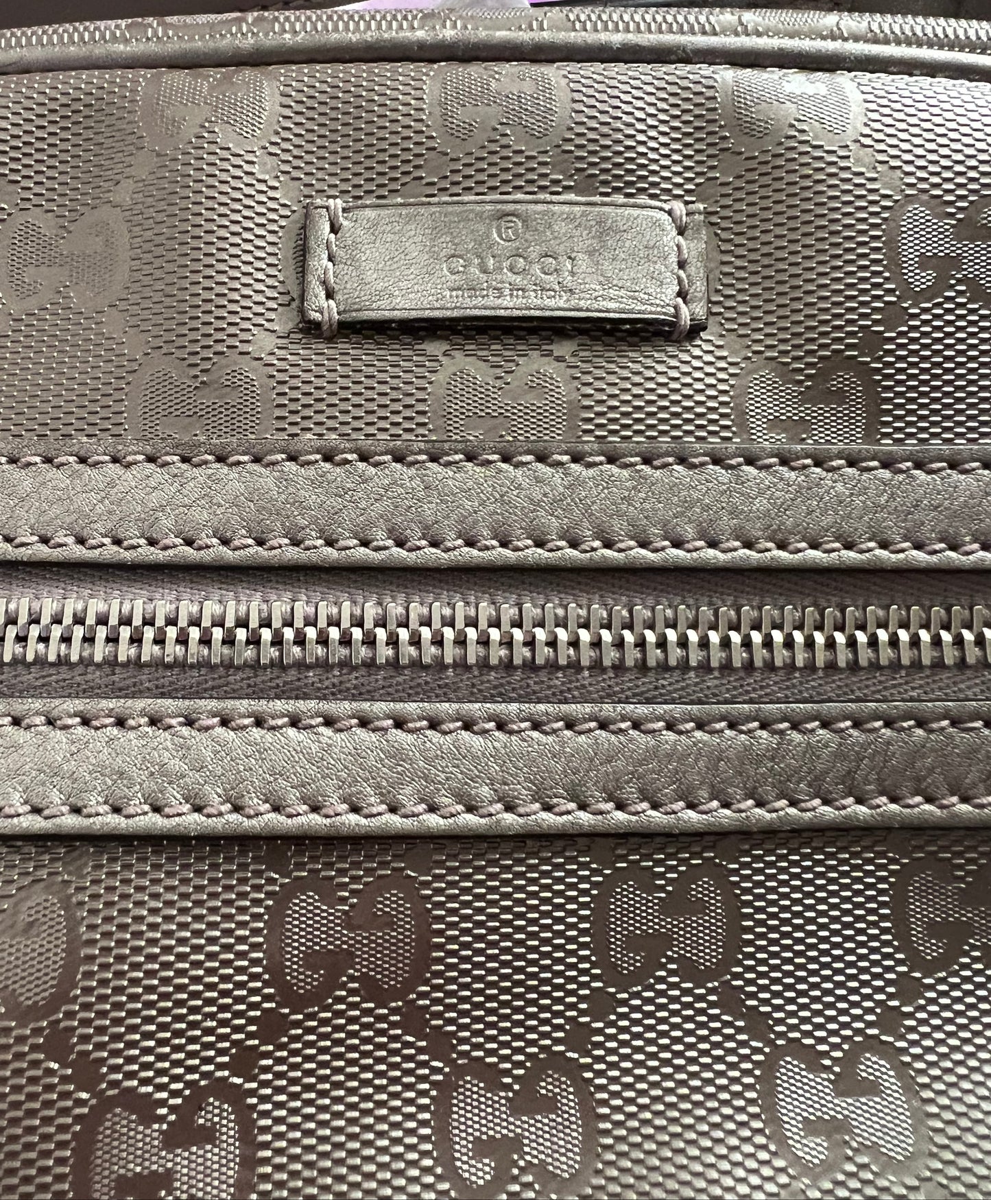Gucci Metallic Pewter Imprime Camera Bag