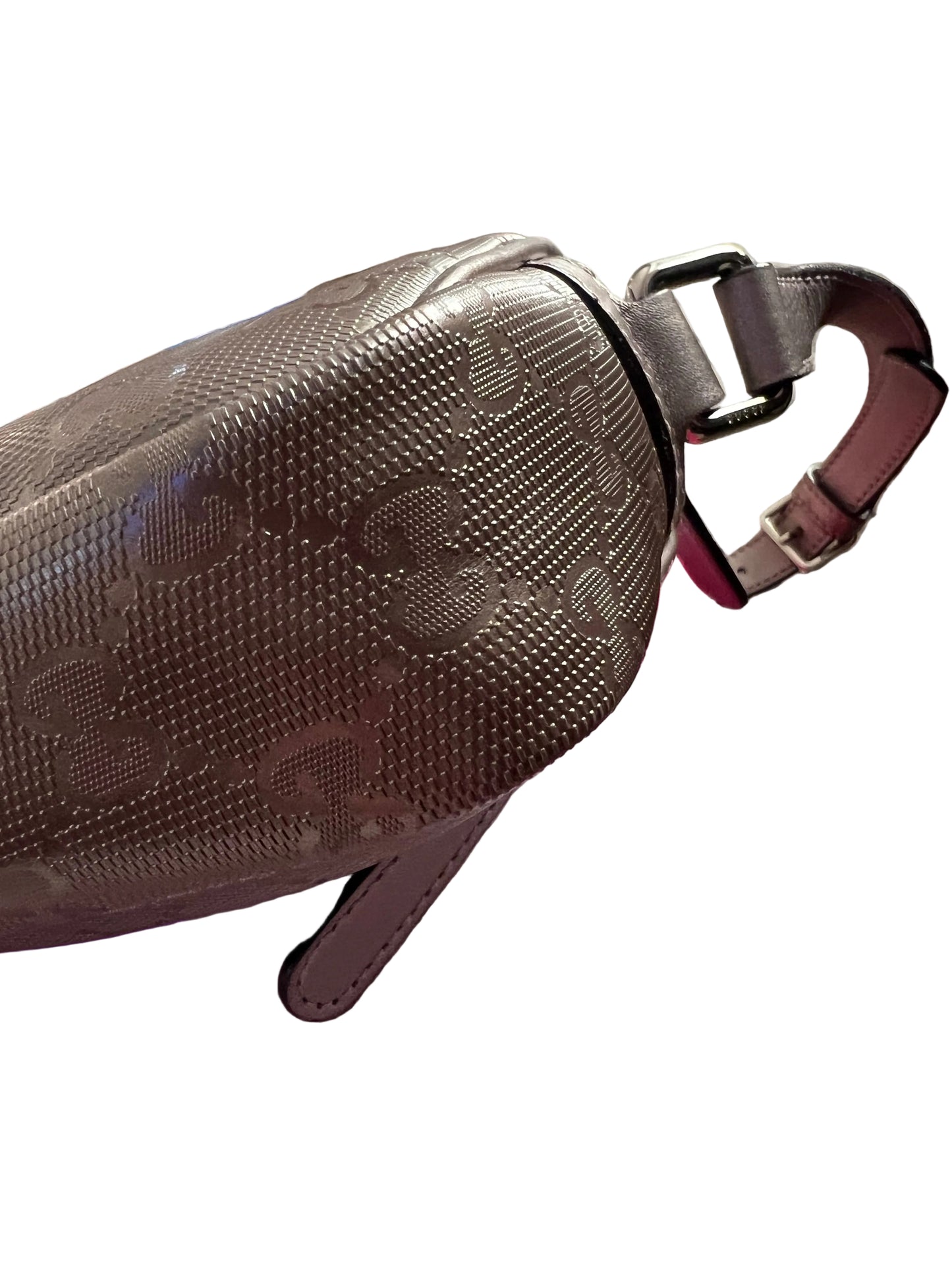 Gucci Metallic Pewter Imprime Camera Bag