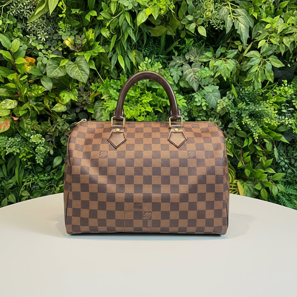 Louis Vuitton Damier Ebene Speedy 30