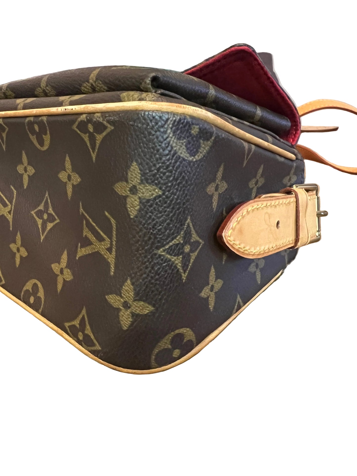 Louis Vuitton Monogram Viva Cite MM
