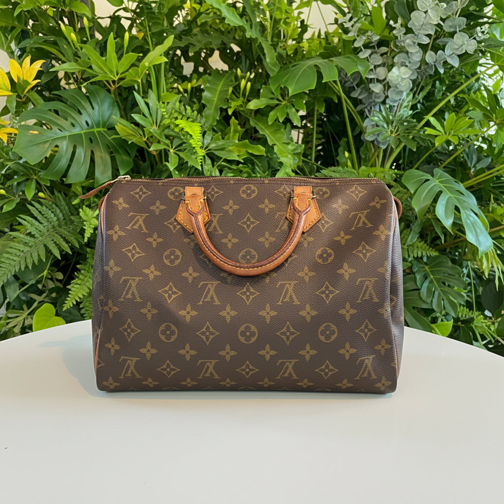 Louis Vuitton Speedy Monogram 30