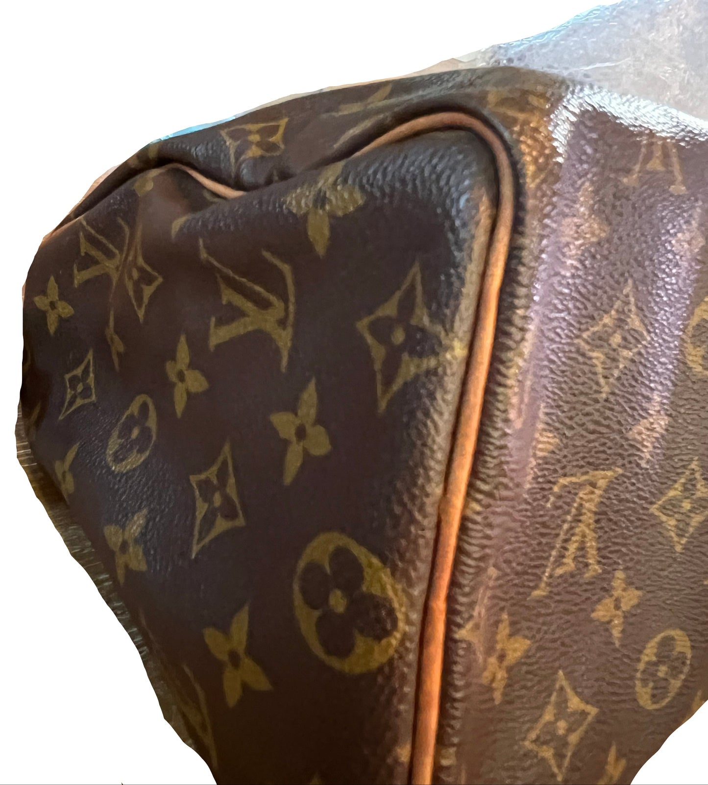 Louis Vuitton Monogram Speedy 25