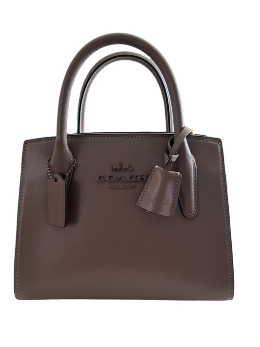 Coach Andrea Mini Carryall