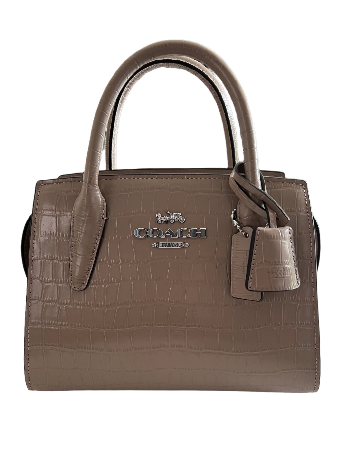 Coach Andrea Mini Carryall Croc Embossed