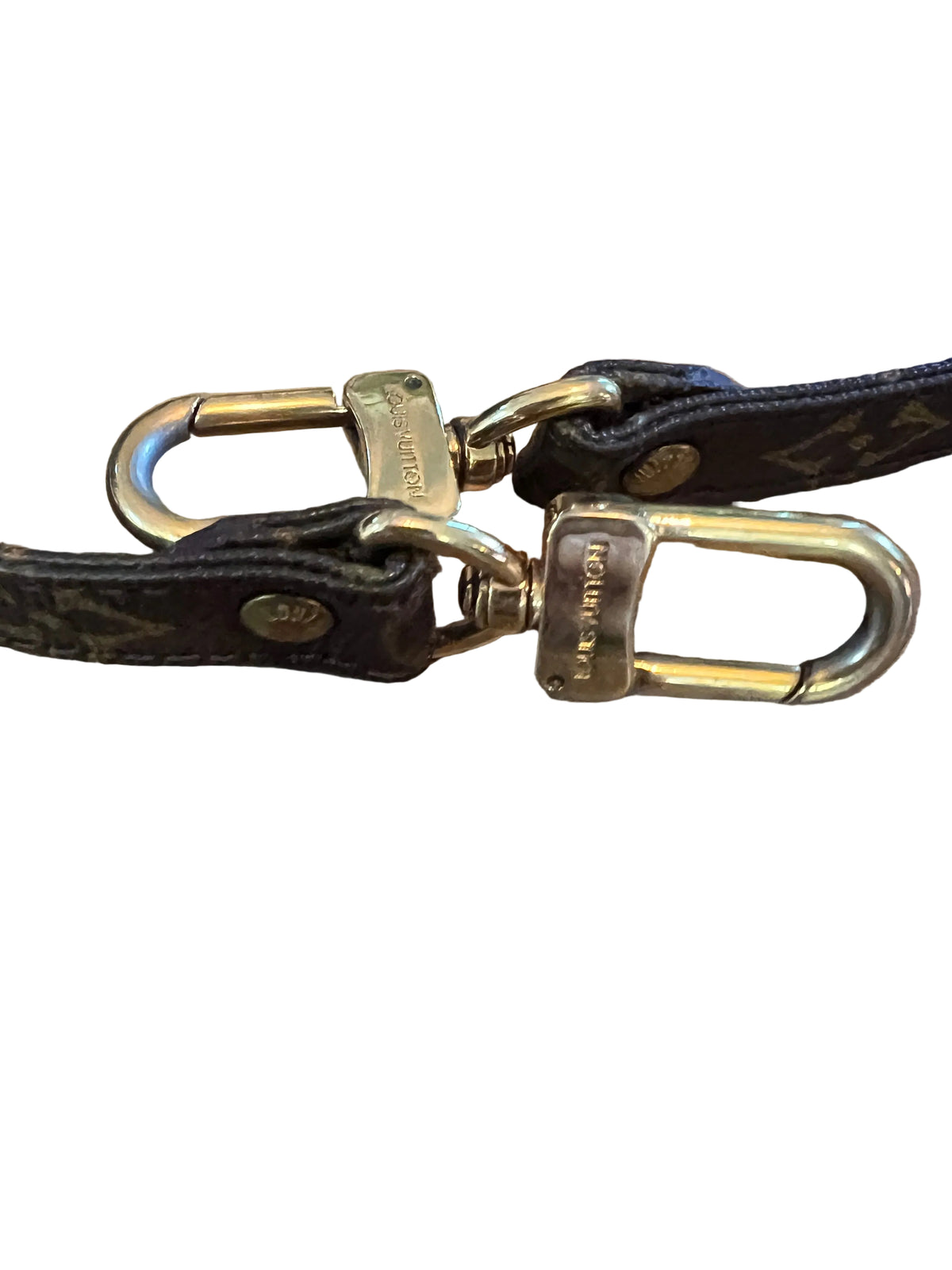 Louis Vuitton Monogram Strap