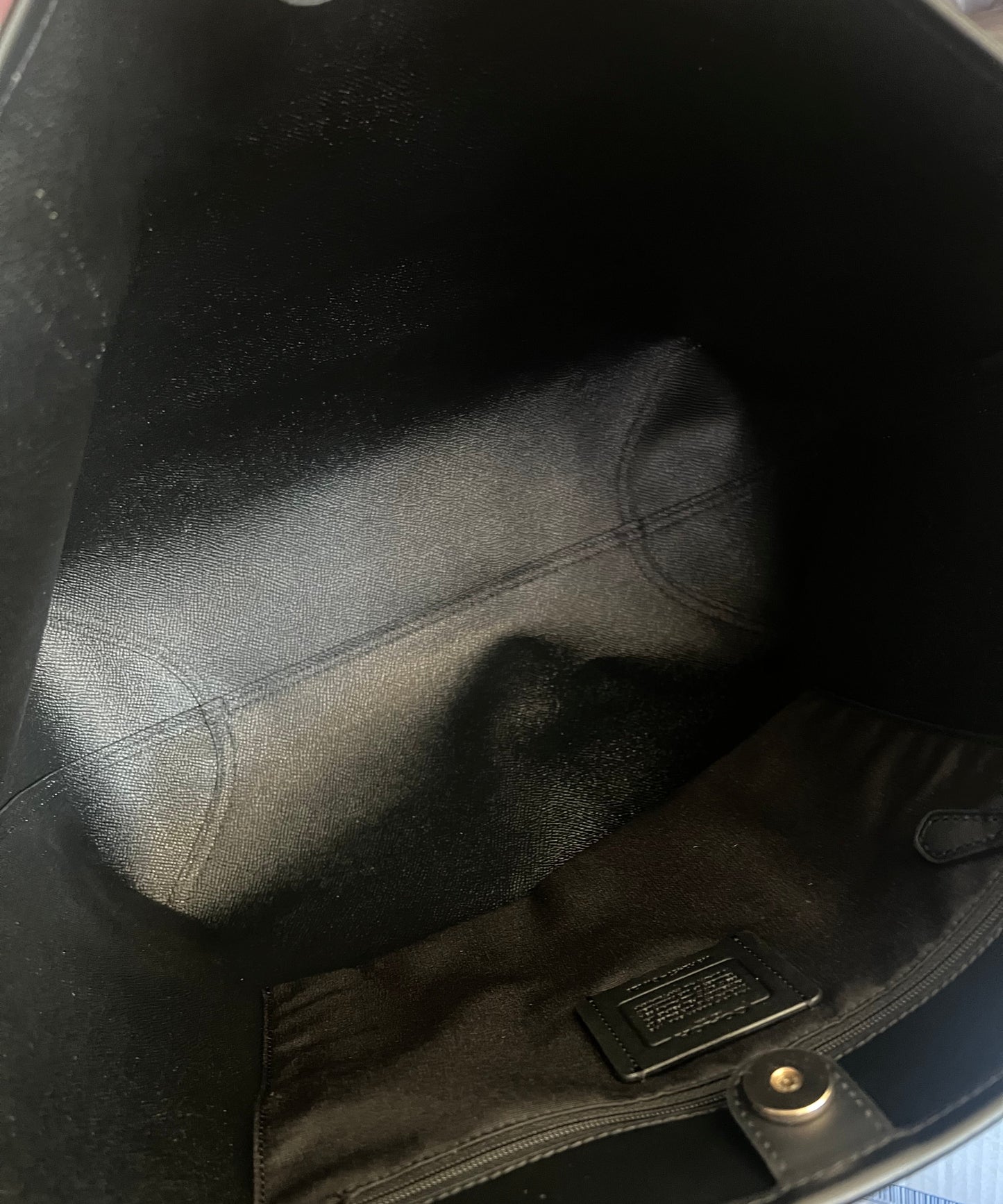 Coach Cosmic Rexy City Tote - Limited