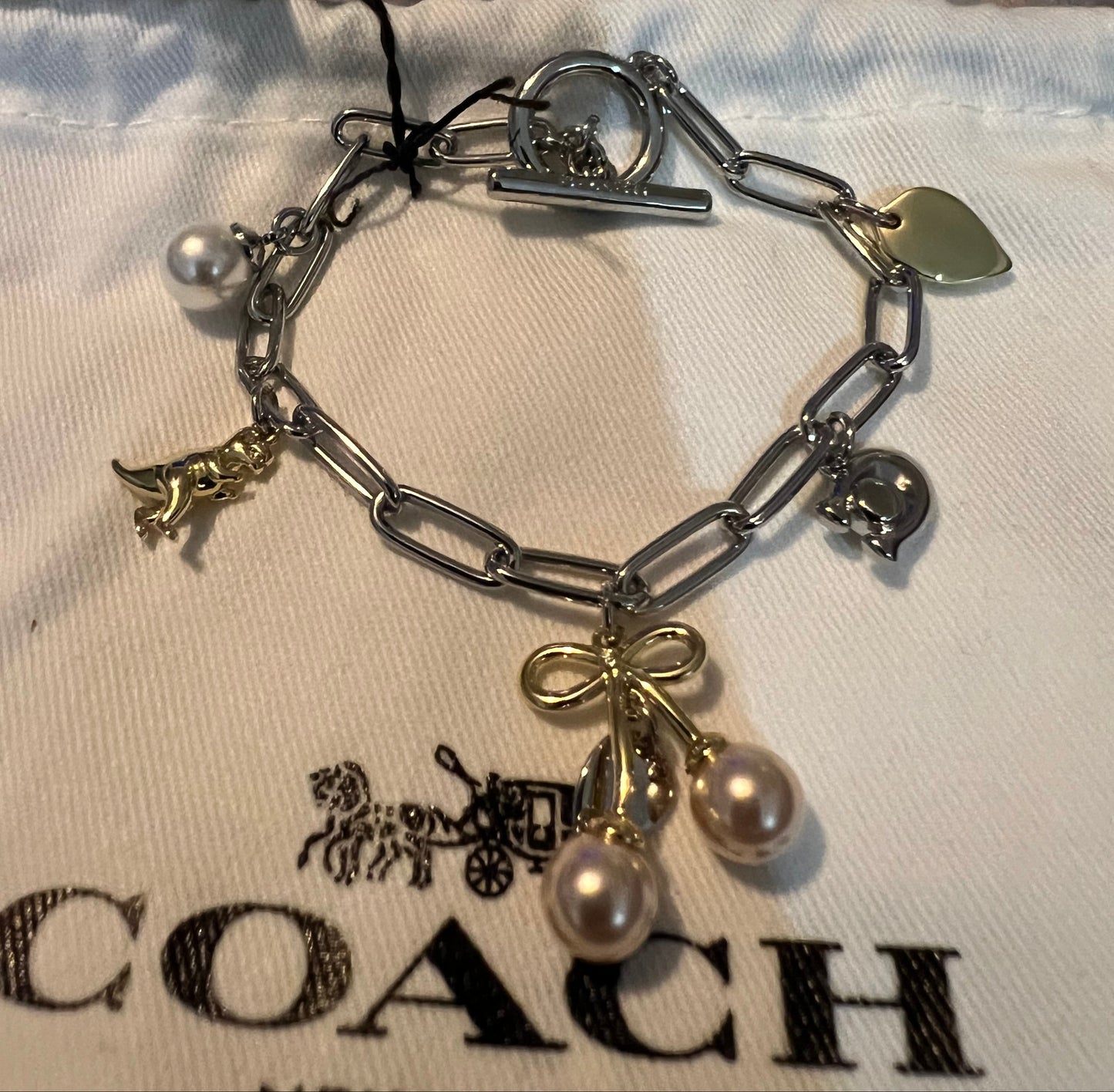 Coach Silver and Gold Link Charm Bracelet