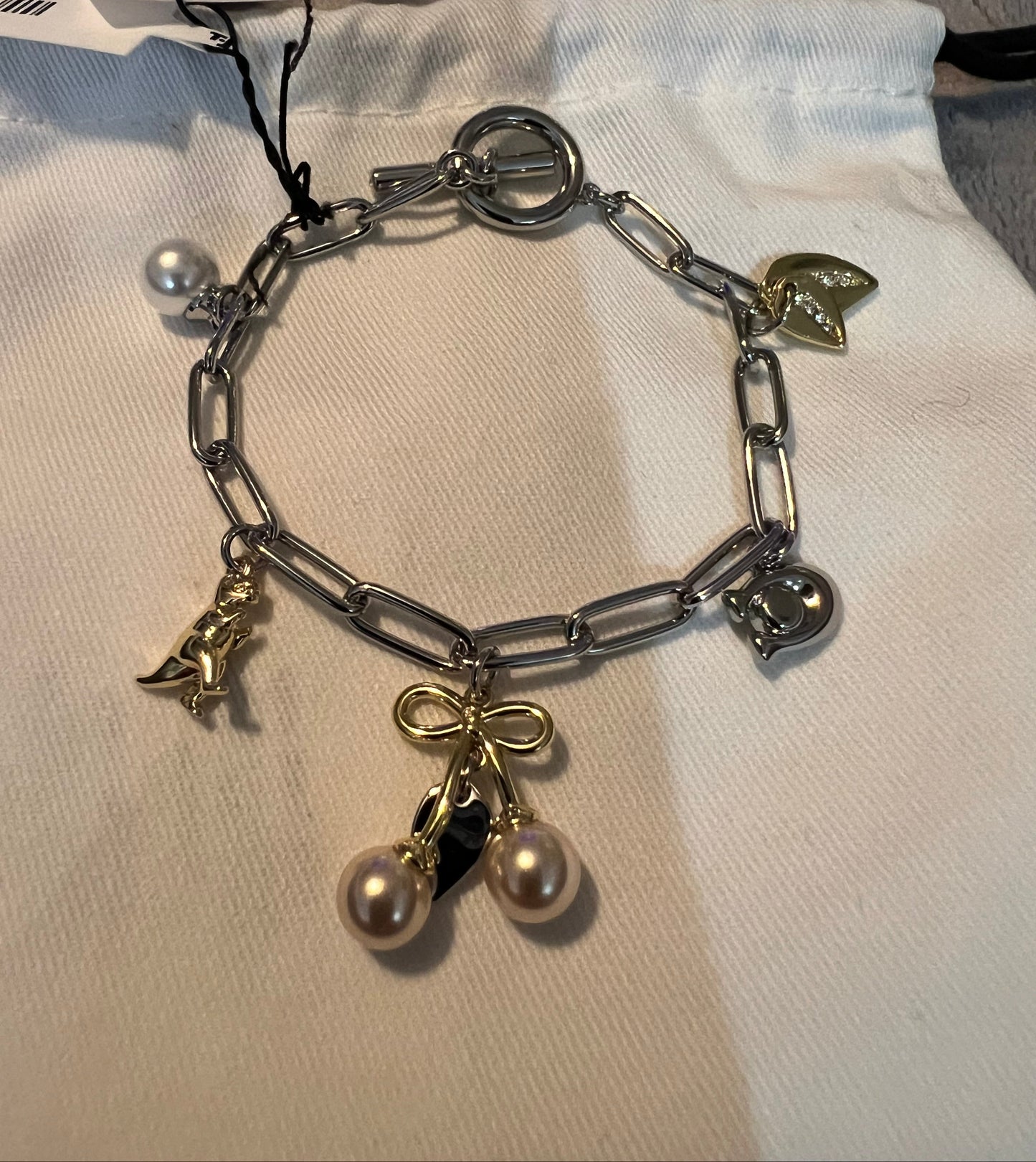 Coach Silver and Gold Link Charm Bracelet
