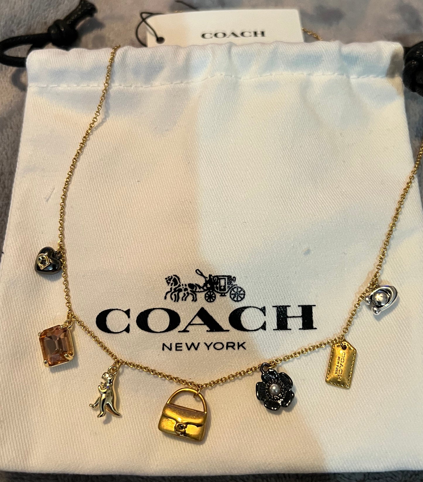 Coach Dainty Charm Necklace