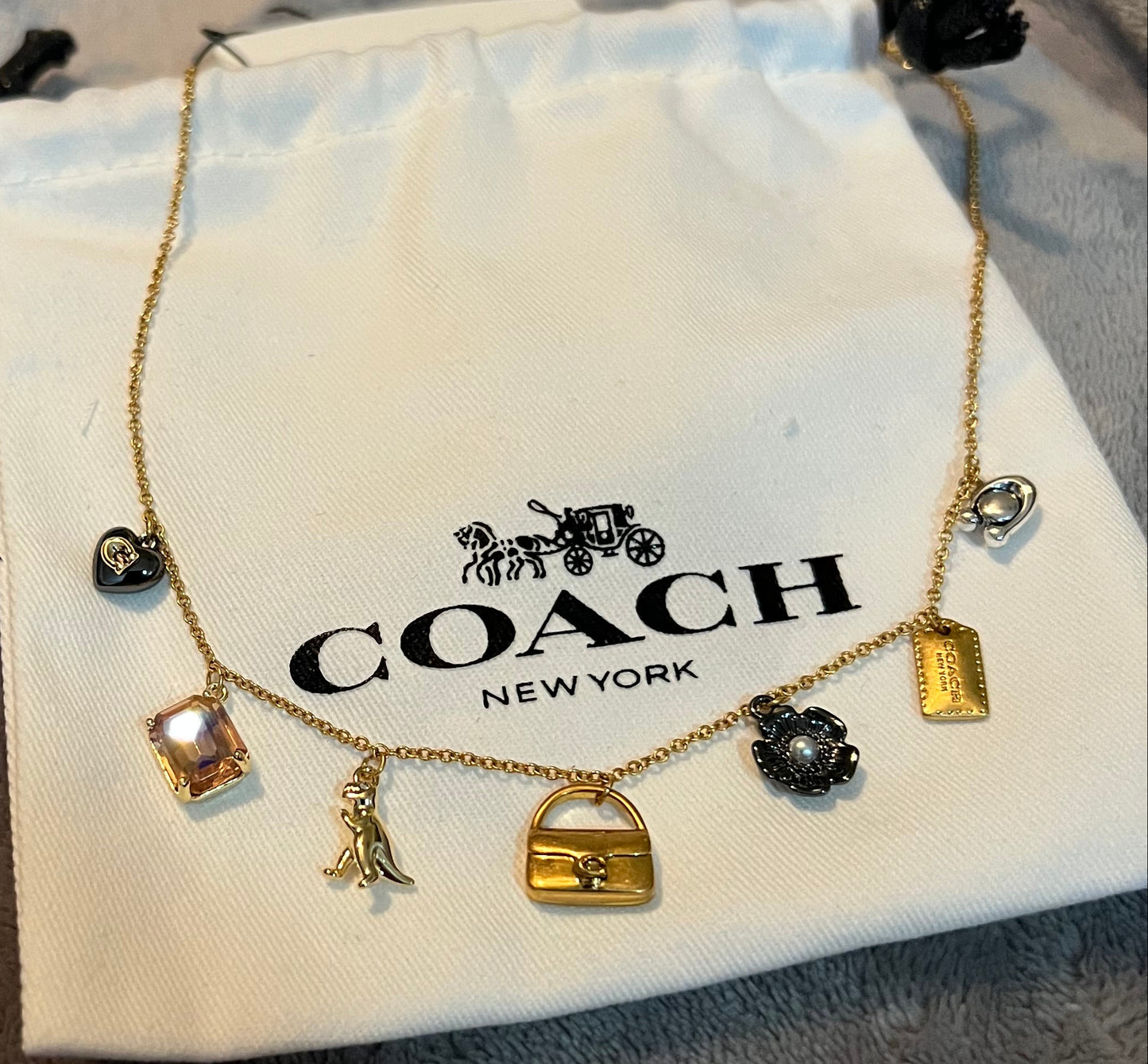 Coach Dainty Charm Necklace
