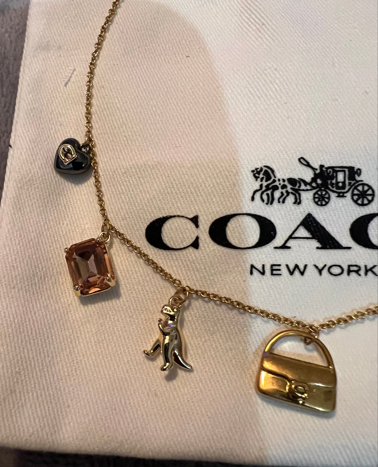 Coach Dainty Charm Necklace