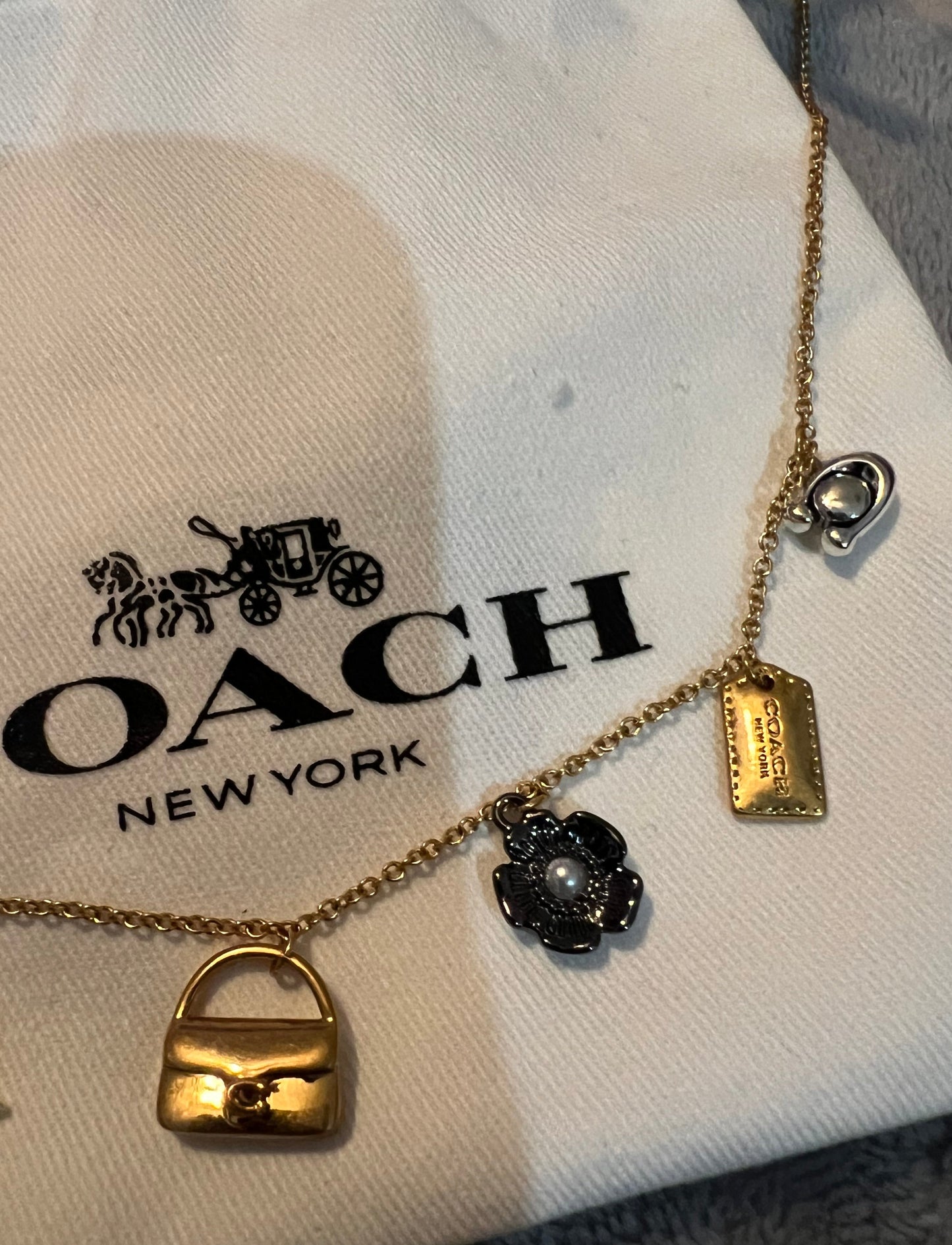 Coach Dainty Charm Necklace