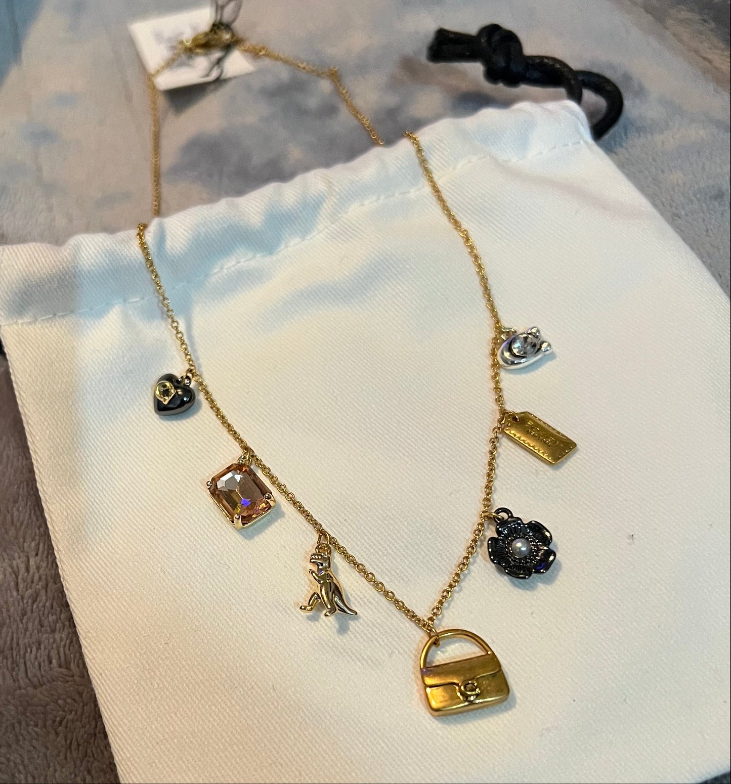 Coach Dainty Charm Necklace
